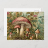 Carte Postale Champignons de contes Fairytale (Devant / Derrière)