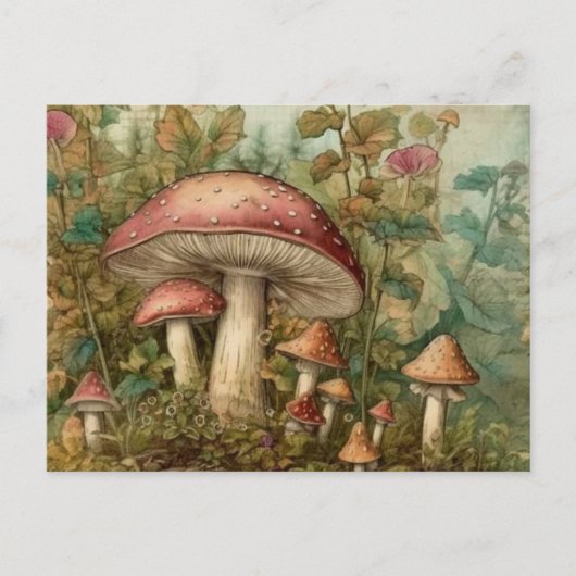 Carte Postale Champignons de contes Fairytale (Devant)