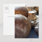 Carte Postale Champignons de Crimini (Devant / Derrière)