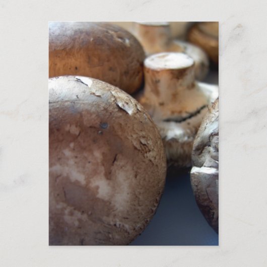 Carte Postale Champignons de Crimini (Devant)