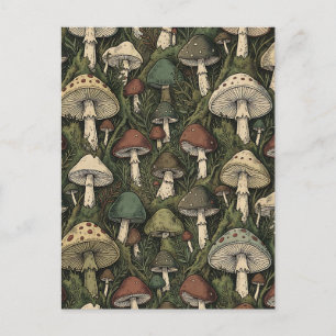 Carte Postale Champignons de forêt vintage Cottagecore nostalgiq