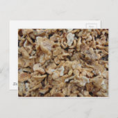 Carte Postale Champignons de Hérisson (Devant / Derrière)