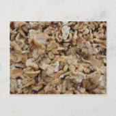 Carte Postale Champignons de Hérisson (Devant)