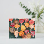 Carte Postale Champignons de jardin et tabourets (Debout devant)