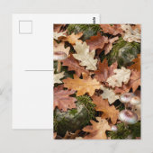Carte Postale Champignons de sol de forêt automnale Mousse Feuil (Devant / Derrière)