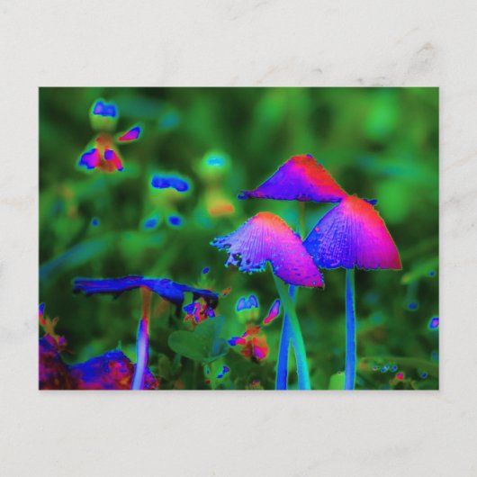 Carte Postale Champignons Imaginaires (Devant)
