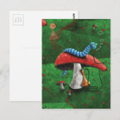 Carte Postale Champignons magiques (Devant / Derrière)