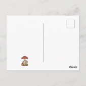 Carte Postale Champignons Red Magic Vintage 1800s (Dos)