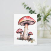 Carte Postale Champignons rouges (Debout devant)