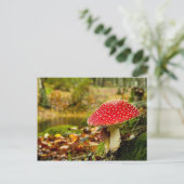 Carte Postale Champignons rouges (Debout devant)