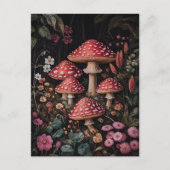 Carte Postale Champignons rouges dans une forêt d'Imaginaires (Devant)