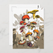 Carte Postale champignons sauvages (Devant / Derrière)