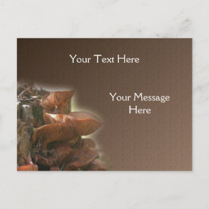 Carte Postale Champignons sauvages empilés Nature