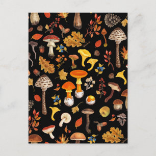 Carte Postale Champignons sauvages sur le noir