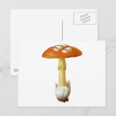 Carte Postale Champignons tachetés Rouge Et Blanc (Devant / Derrière)