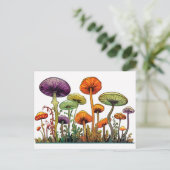 Carte Postale Champignons vert orange (Debout devant)