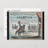 Carte Postale Champion Clipper (Devant / Derrière)