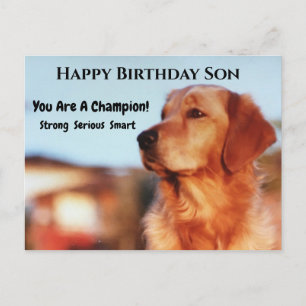 Carte Postale Champion Fils Anniversaire Golden Retreiver