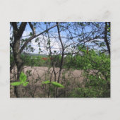 Carte Postale champlain (Devant)