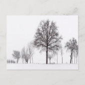 Carte Postale Champs autour de Scalenghe | Piémont, Italie (Devant)