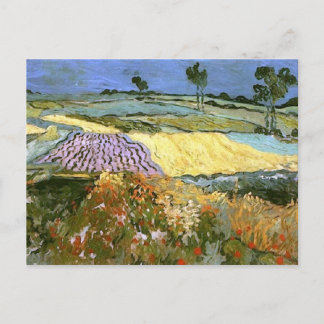 Carte Postale Champs de blé près d'Auvers Van Gogh