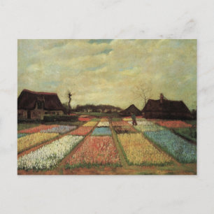 Carte Postale Champs de bulbes par Vincent van Gogh