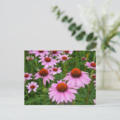 Carte Postale Champs de contrôleur (Debout devant)