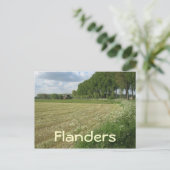 Carte Postale Champs de Flandre (Debout devant)