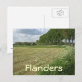 Carte Postale Champs de Flandre (Devant / Derrière)