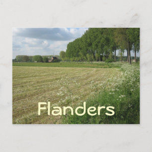 Carte Postale Champs de Flandre