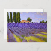 Carte Postale Champs de fleurs de lavande (Devant / Derrière)