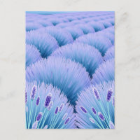 Champs de Lavande Rêveurs Esthétique Violet Bleu
