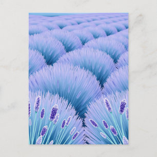 Carte Postale Champs de Lavande Rêveurs Esthétique Violet Bleu