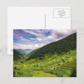 Carte postale Champs de Paddy au Népal (Devant / Derrière)