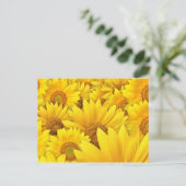 Carte Postale Champs de tournesol jaune (Debout devant)