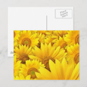 Carte Postale Champs de tournesol jaune (Devant / Derrière)