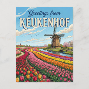 Carte Postale Champs de tulipes & moulins à vent, Lisse Pays-Bas