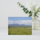 Carte Postale Champs de Vert et d'Or (Debout devant)