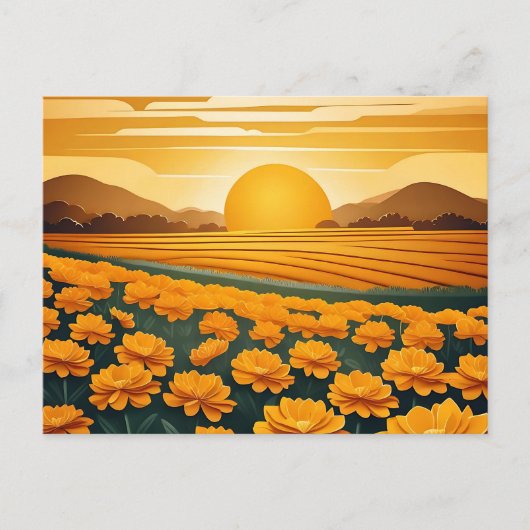 Carte Postale Champs d'or de Marigolds (Devant)