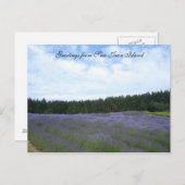 Carte Postale Champs Lavande (Devant / Derrière)