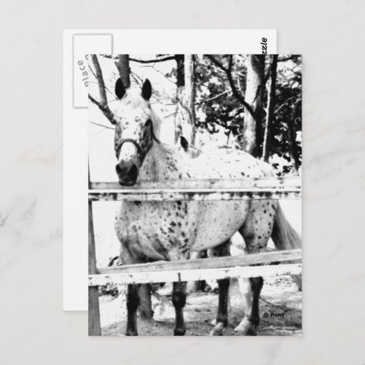 Carte Postale Chance (Devant / Derrière)