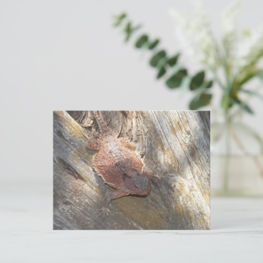 Carte Postale changé de nom en "fraise" (Debout devant)