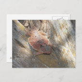 Carte Postale changé de nom en "fraise" (Devant / Derrière)