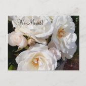 Carte Postale  Change of Address Romantic Rose (Devant)