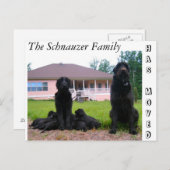 Carte postale Changement d'adresse (Devant / Derrière)