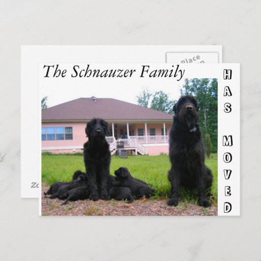 Carte postale Changement d'adresse (Devant / Derrière)