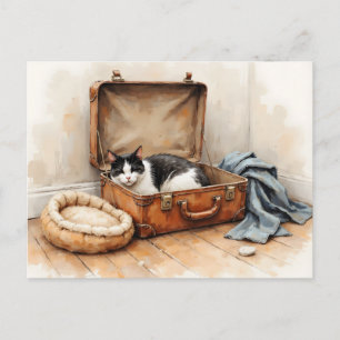 Carte Postale Changement d'adresse amusant de chat noir et blanc