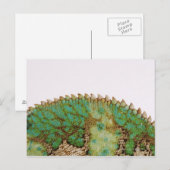 Carte Postale Changement de peau Chameleon (Devant / Derrière)