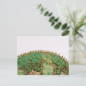 Carte Postale Changement de peau Chameleon (Debout devant)