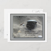 Carte Postale Changement de saison (Devant / Derrière)